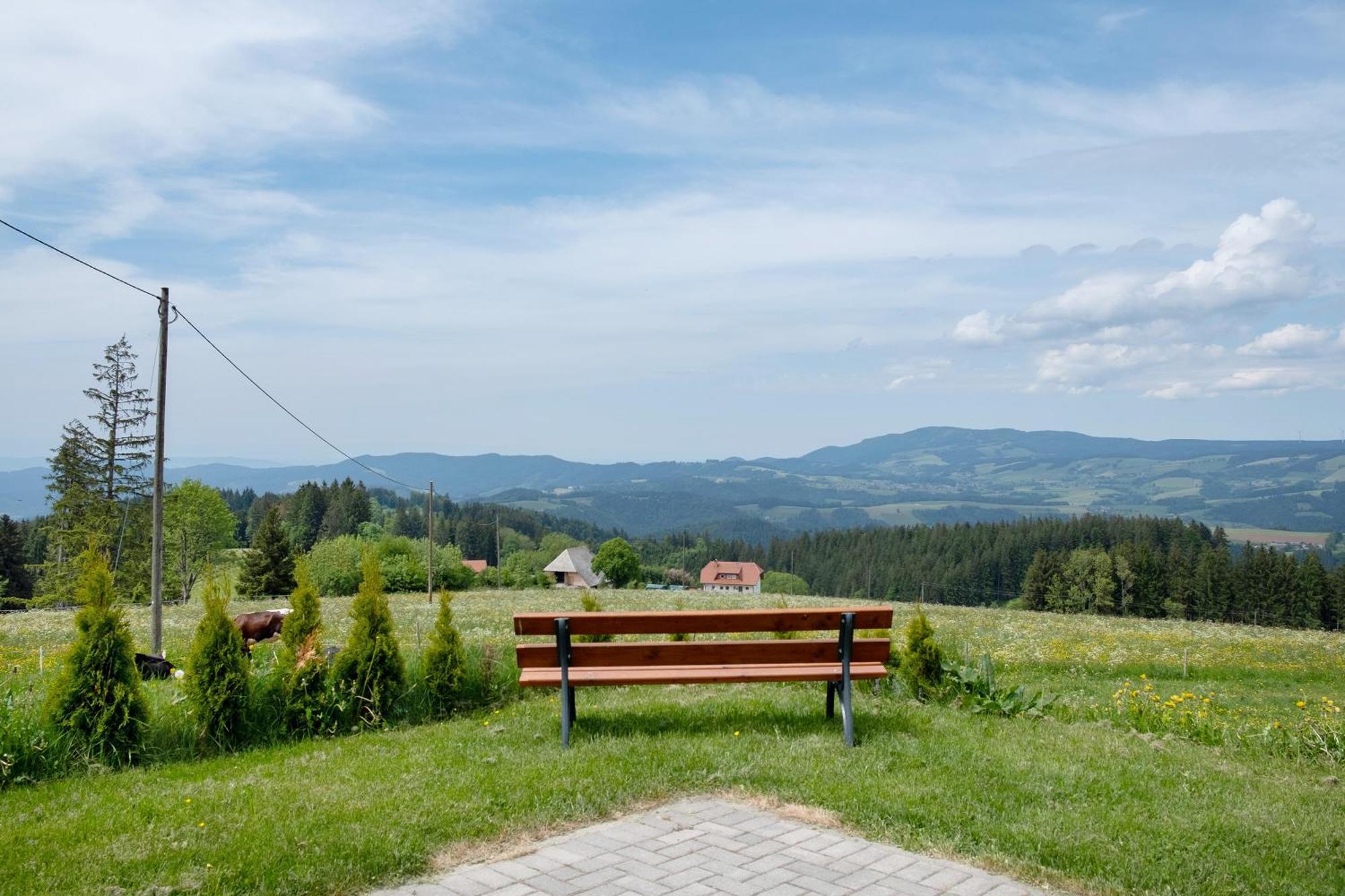 Ferienwohnung Bäuerleshütte Breitnau Exterior foto