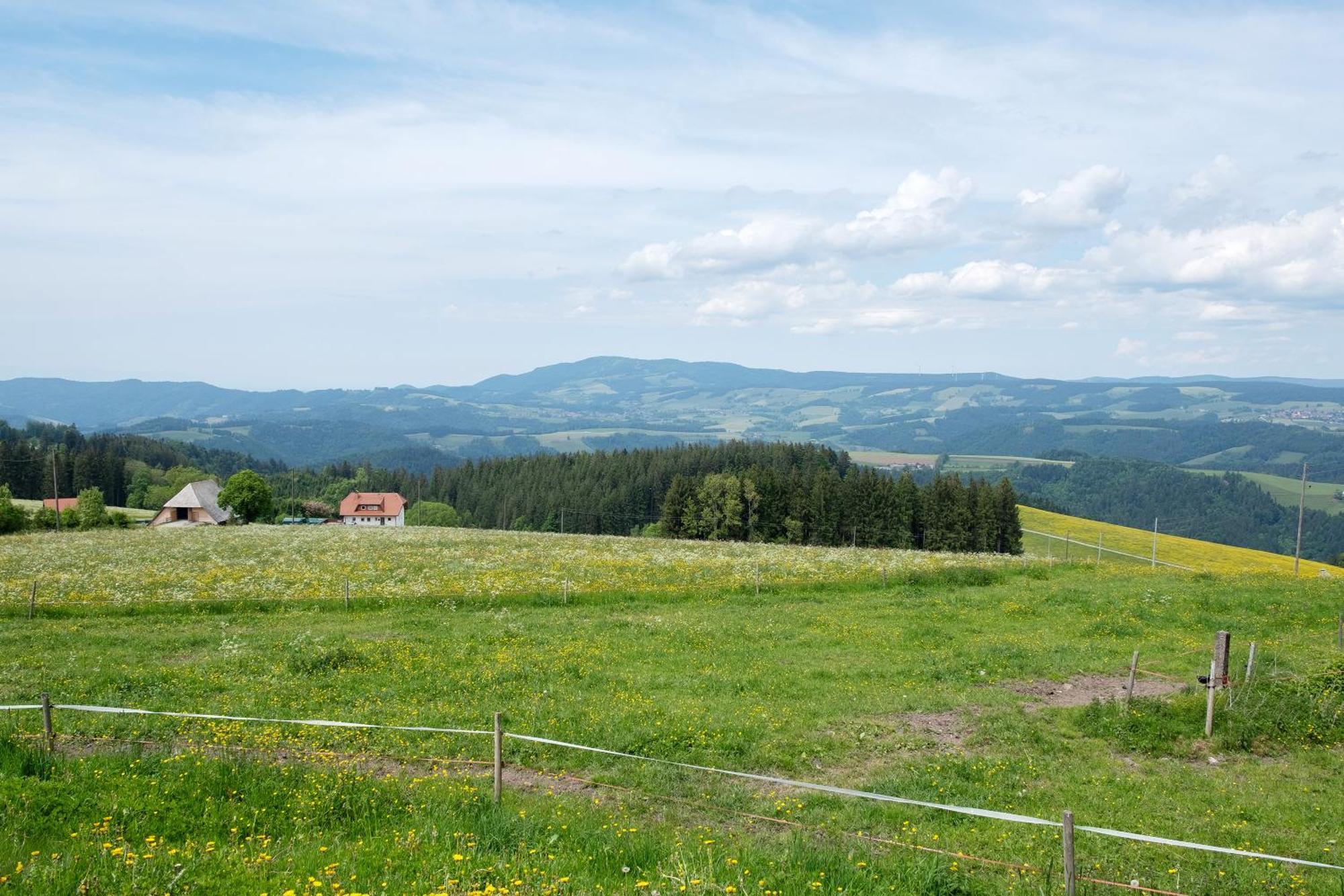 Ferienwohnung Bäuerleshütte Breitnau Exterior foto